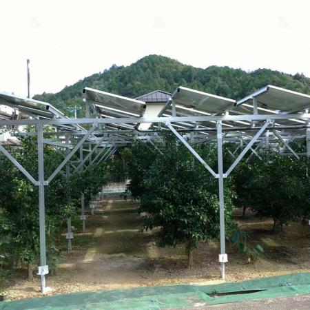 Farm Solar Structure